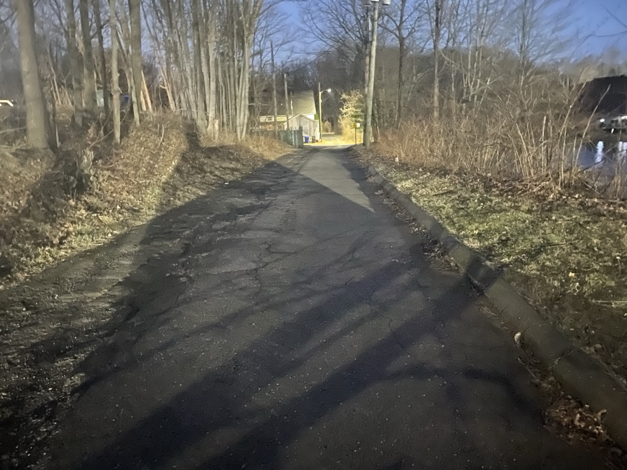 Canine with gunshot wound discovered useless in bag within the woods in Connecticut Canine with gunshot wound discovered useless in bag within the woods in Connecticut