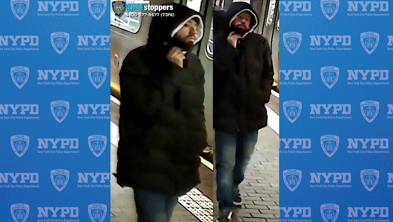 Suspect arrested for allegedly punching pregnant lady in face on rush-hour NYC subway Suspect arrested for allegedly punching pregnant lady in face on rush-hour NYC subway