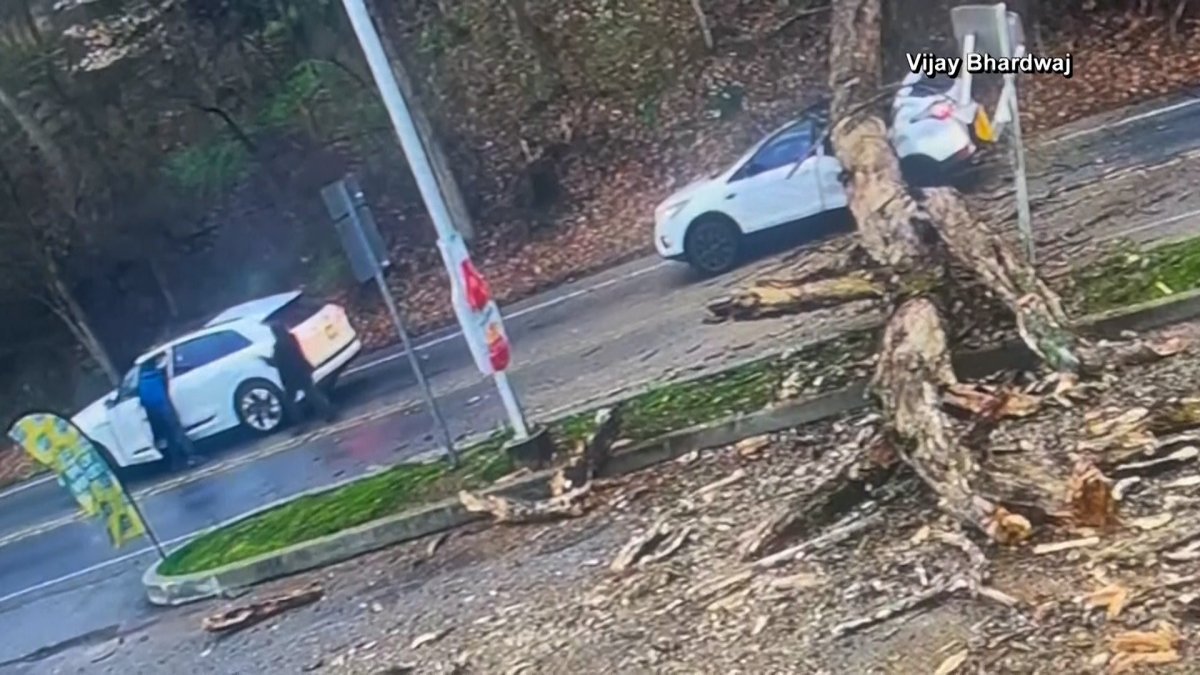 WATCH: Falling tree smashes SUV, driver escapes – NBC New York
