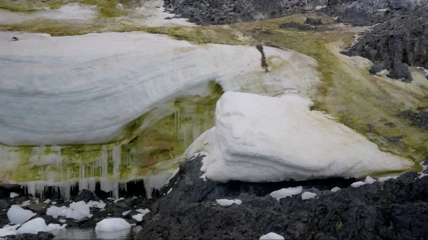 Algae on an iceberg in Antarctica