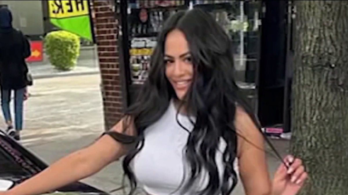 Driver pleads not guilty in Brooklyn crash that killed mom and two kids ...