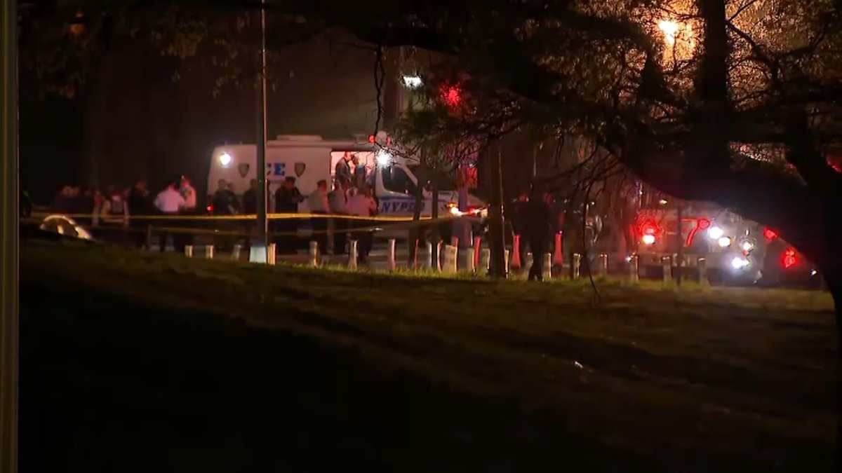 Man driving stolen Porsche in Brooklyn fatally shot by police, NYPD says