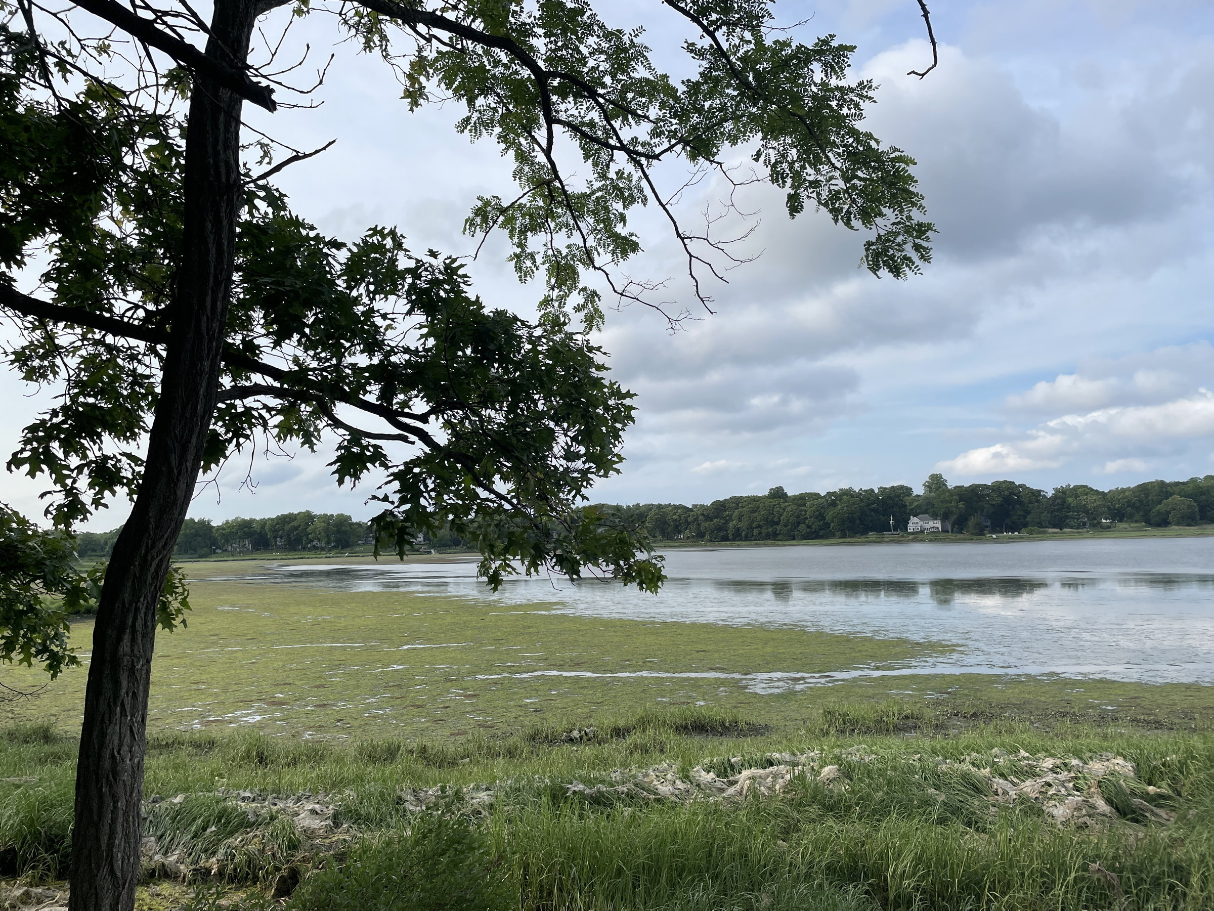 Dwell on Lengthy Island? There is a sewage water warning Dwell on Lengthy Island? There is a sewage water warning