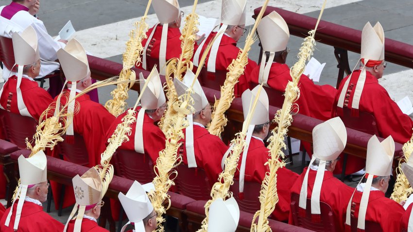 Palm Sunday Mass celebrated by cardinal Leonardo Sandri, Vice Dean of the College of Cardinals delegated by Pope Francis, in St. Peters Square. Vatican City (Vatican), April 13th, 2025