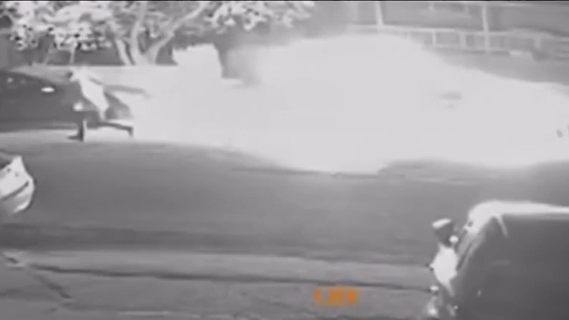 Alleged arsonist sought by Lengthy Island police for torching automobile Alleged arsonist sought by Lengthy Island police for torching automobile