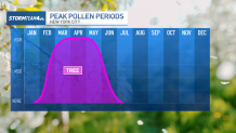 Worse than typical? Allergy victims in NYC questioning when the season will finish