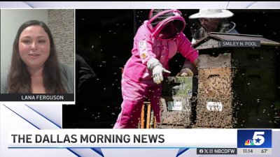 Texas is becoming a beekeeping ‘mecca' and Dallas businesses are leaning in