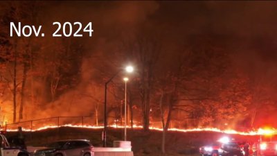 Push to protect NYC green spaces against wildfires
