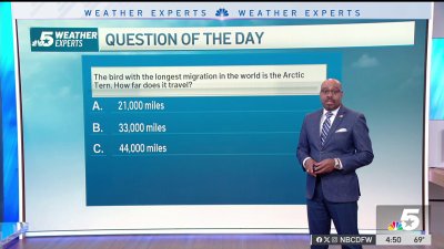Weather Quiz: Longest bird migration