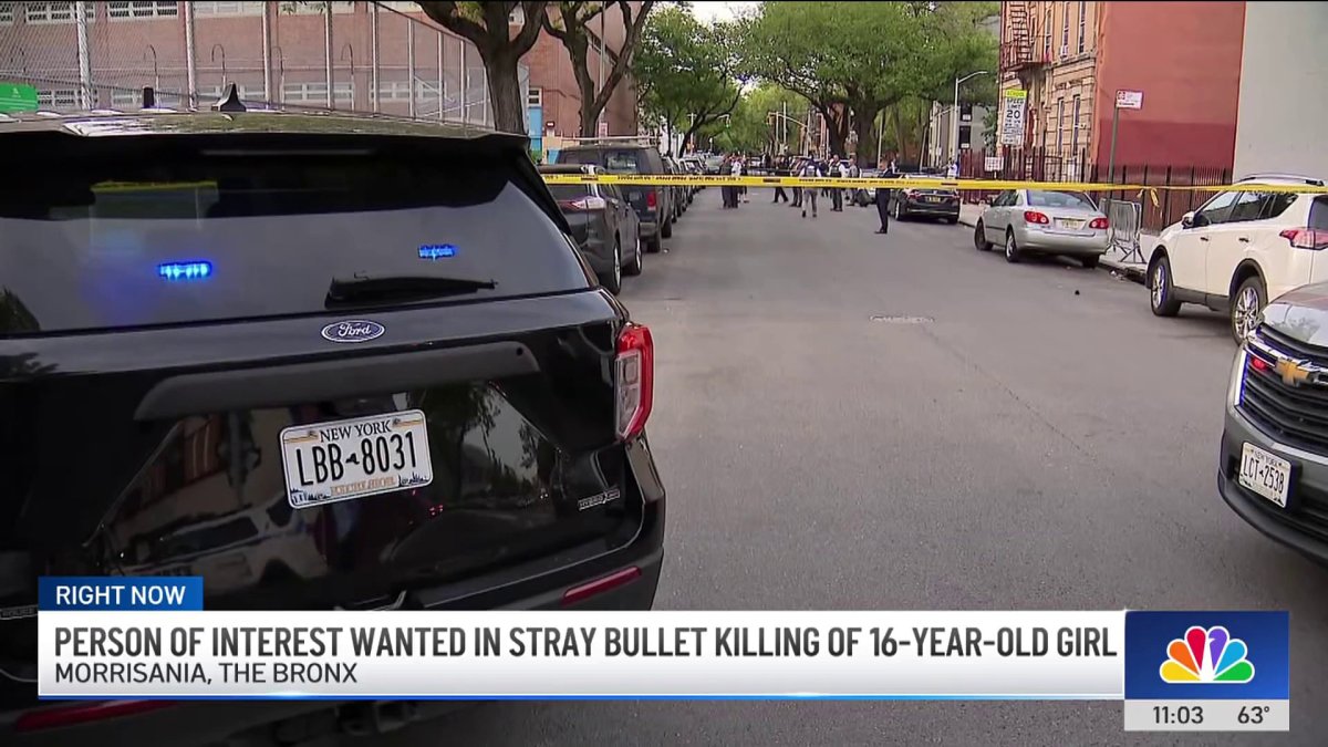 Person of interest wanted in stray bullet killing of 16-year-old girl ...