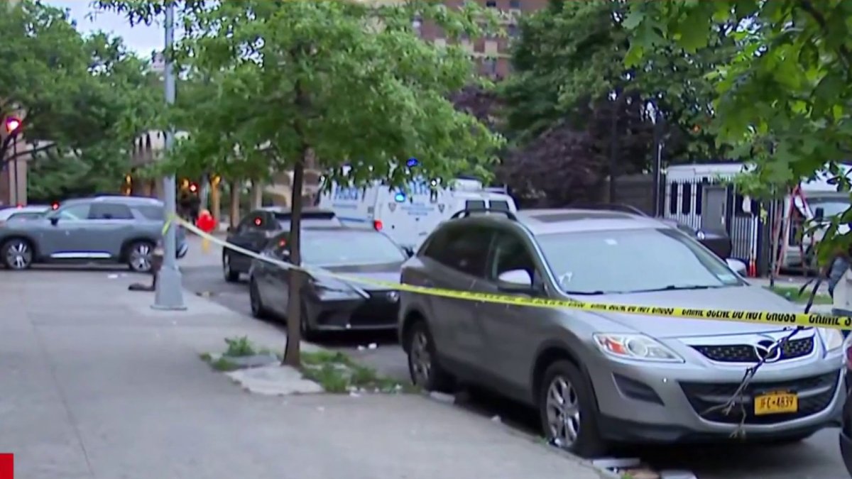 Man armed with knife in domestic dispute shot and killed at Brooklyn ...