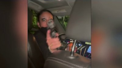 Uber driver seen in video pointing gun at passengers in Hollywood arrested: Police