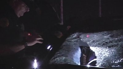 Suspect arrested in deadly Little Havana hit-and-run