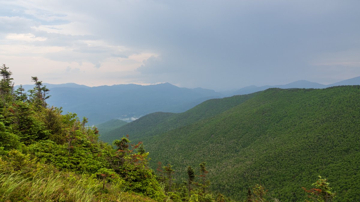 Hikers' Mushroom Trip Spurs False Death Report