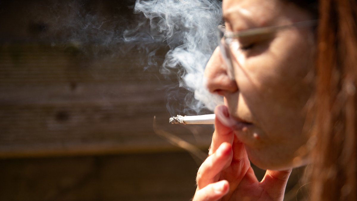 melbourne cigarettes price Marlboro Vista Forest Mist melbourne cigarettes price Marlboro Vista Forest Mist
