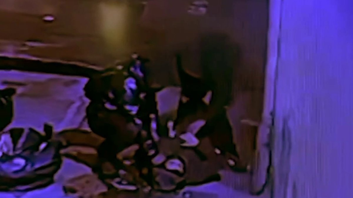 Where are they? Hunt for suspects intensifies as video shows horrific attack on off-duty NYPD cop