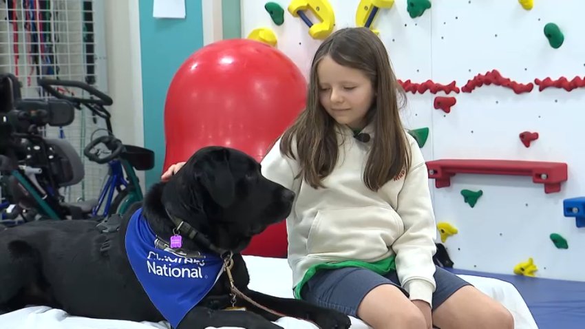 tux dog and girl