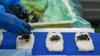 A worker puts konbu sea weed on rice on the riceball production line at the processing factory of Fuji Foods Co., in Funabashi, Chiba, Japan, on Friday, Jan. 26, 2024. Riceballs are one of the 7-Eleven Japan’s most important products, with more than 2 billion sold each year. Photographer: Noriko Hayashi/Bloomberg via Getty Images