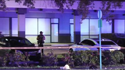 2 killed, subjects detained after fight led to shooting in Miami Gardens: Police