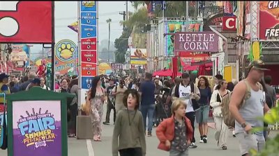 Thousands attend ‘Pet-tacular' opening day at the San Diego County Fair