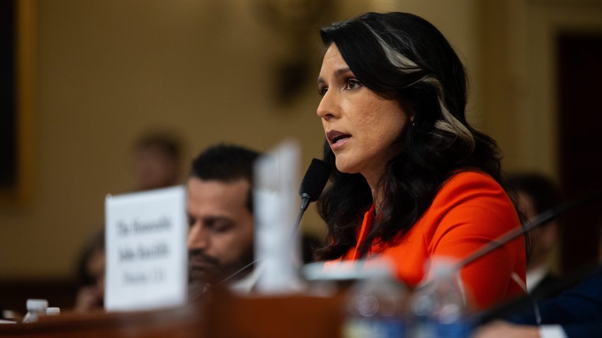 Tulsi Gabbard