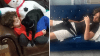 After missing for more than 8 years, family's cat finally returns home