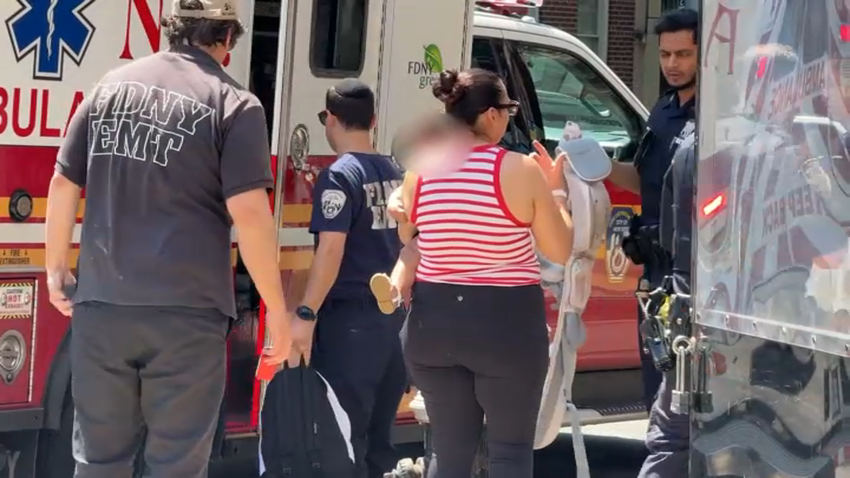 mother baby pepper spray attack queens