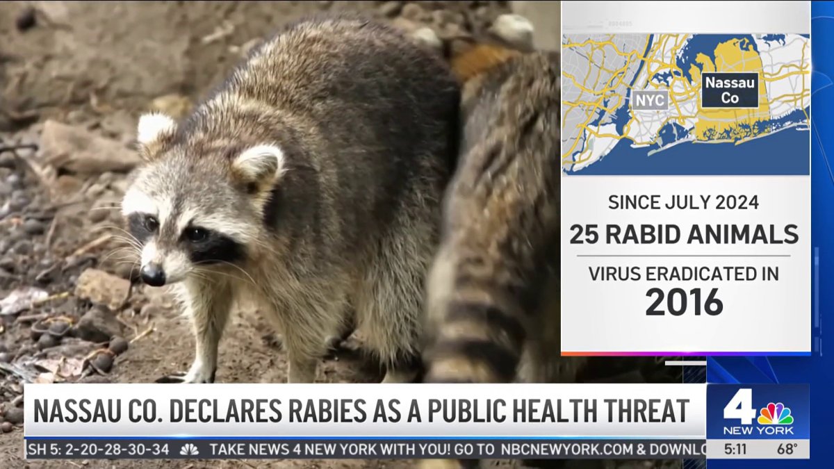 Nassau Rabies Outbreak Linked to NYC Animal Migration