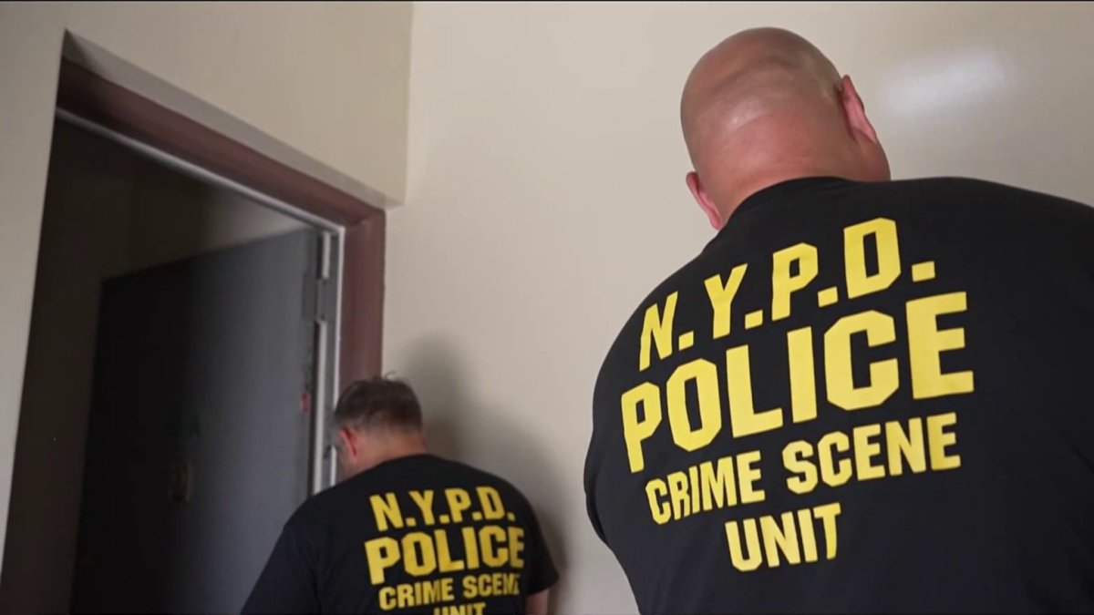 NYPD searching for suspect after woman stabbed to death in the Bronx ...
