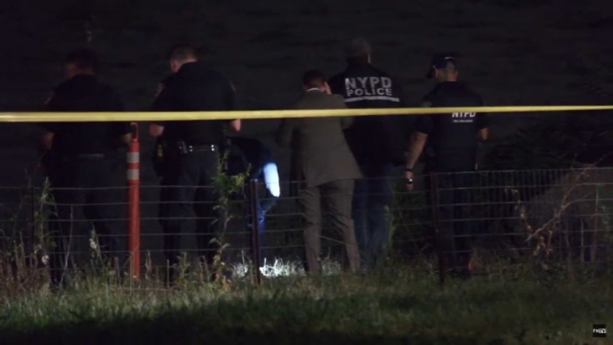 Off-duty Border Patrol officer shot in face at NYC park; person in custody