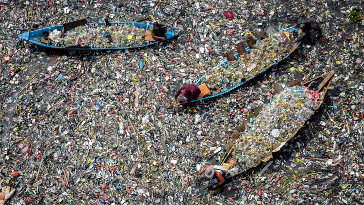 Plastic Risk Plastics ‘crisis’ is costing $1.5tn in global deaths, injuries – NBC ...