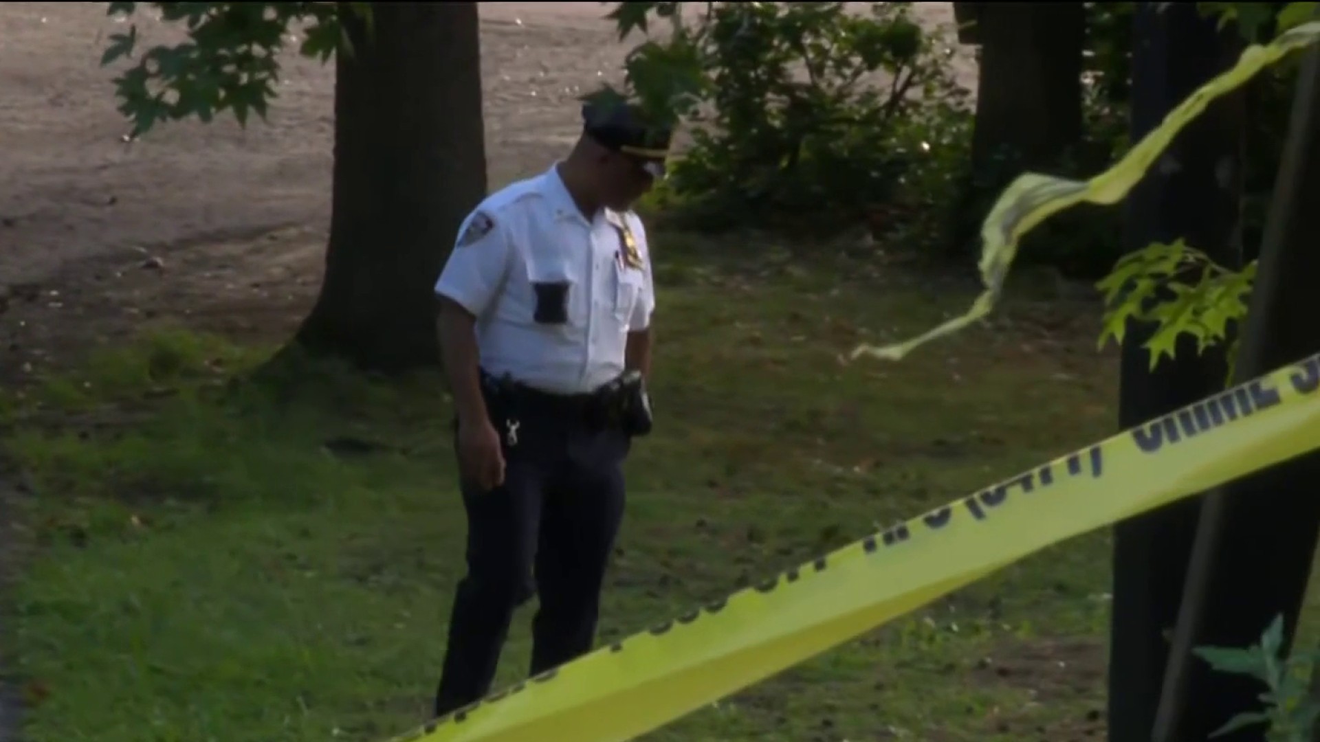 4 arrested after 5 people shot in deadly Bronx park shooting, NYPD says