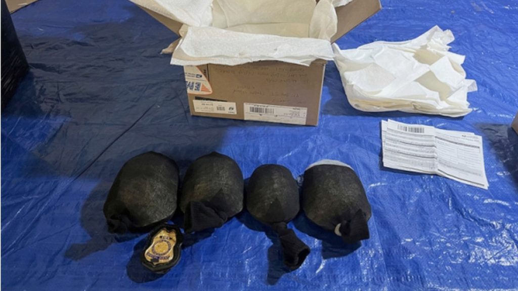 NYC man admits trying to smuggle 850 protected turtles valued at $1.4 million to Hong Kong