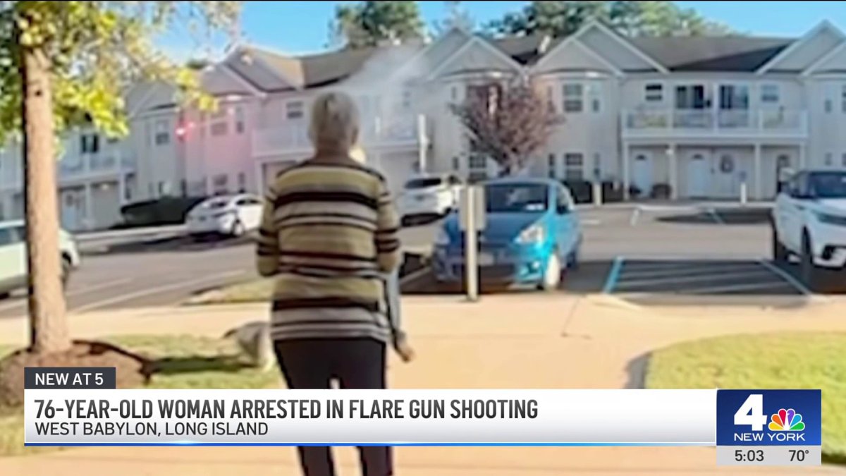 Long Island woman arrested after allegedly shooting neighbor in face ...