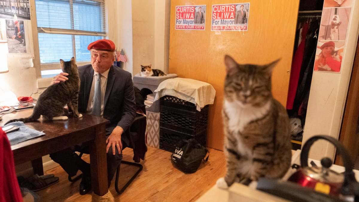 Trump Slams NYC Mayoral Candidate Sliwa: A Feud Over Felines and Politics?