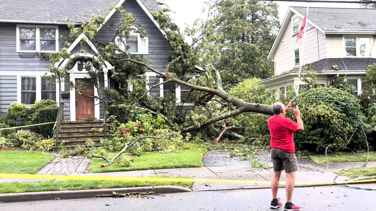 NYC weather Saturday: Storms dump buckets of rain, heavy wind to down ...
