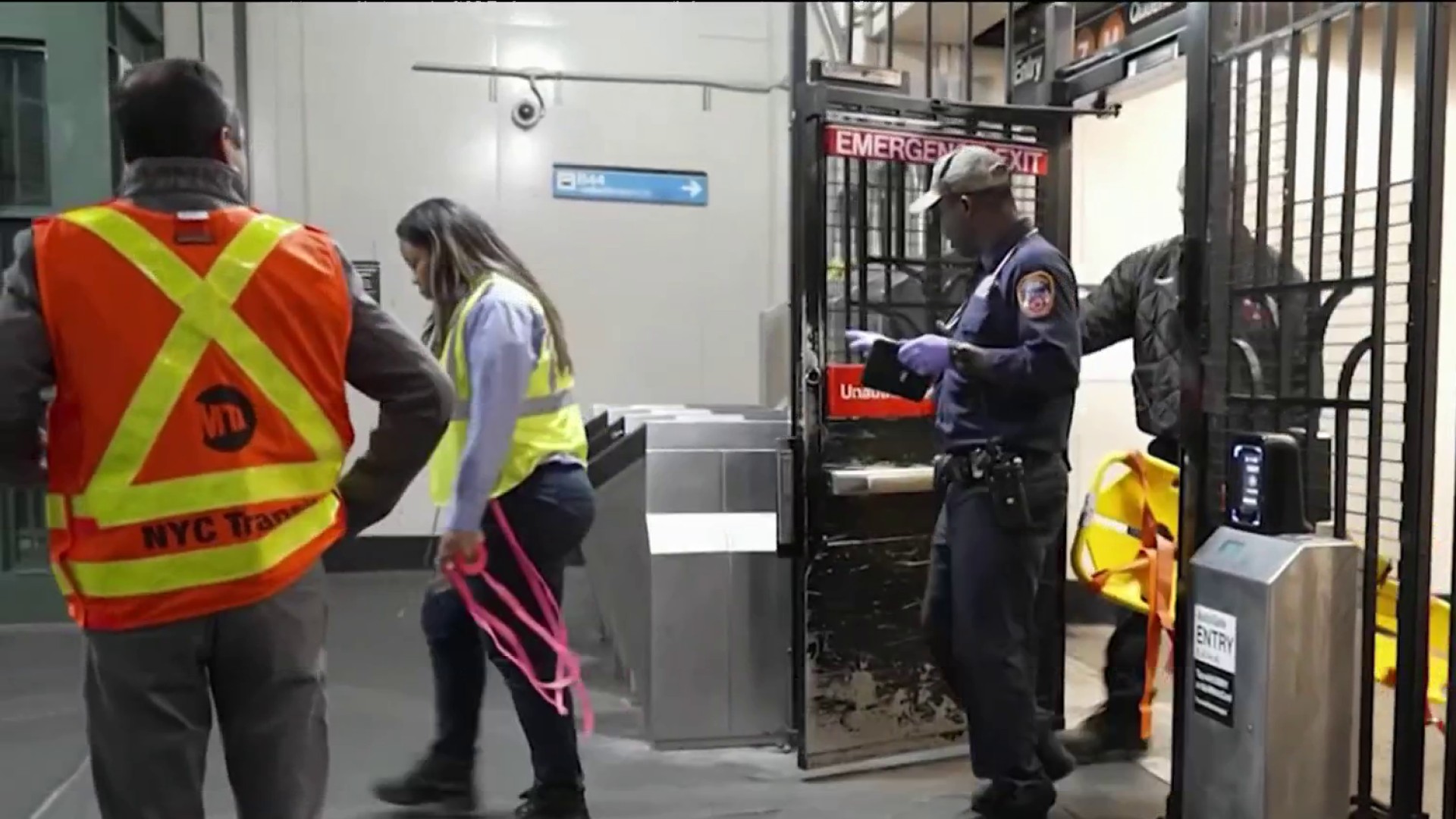 コレクション death nyc Placenta-Derived Extracellular Vesicles in Pregnancy