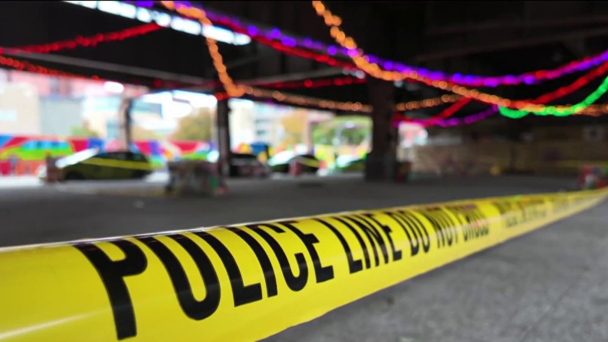 Woman’s naked body found in bag under elevated Metro-North tracks in ...