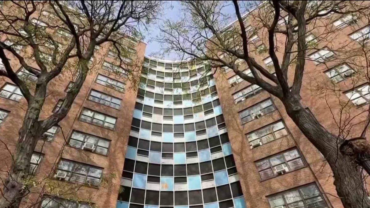 Four people found dead in murder-suicide inside Bronx apartment ...