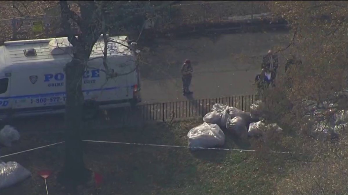 Baby found dead in bag under piles of leaves in Brooklyn – NBC New York