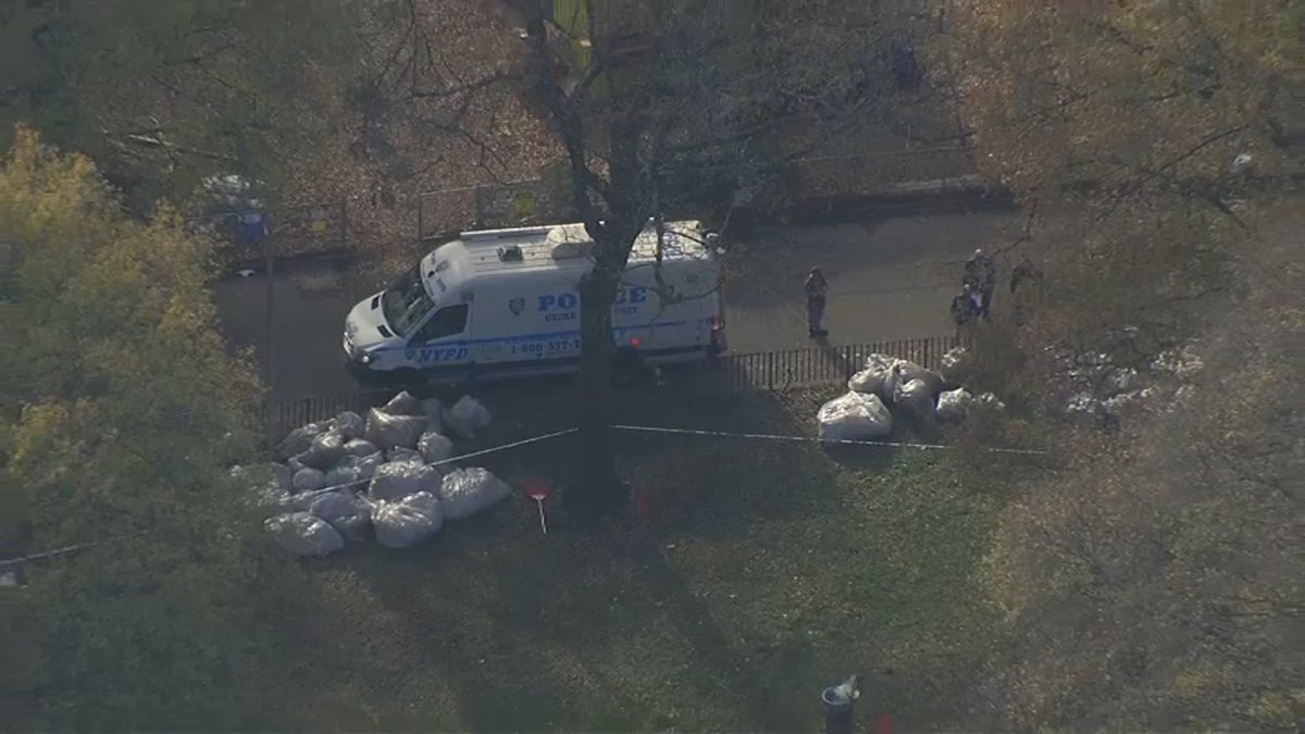 The infant was found in the bag just after 11 a.m. Thursday behind the building at NYCHA's Bayview Houses on East 102nd Street in Canarsie, sources said.