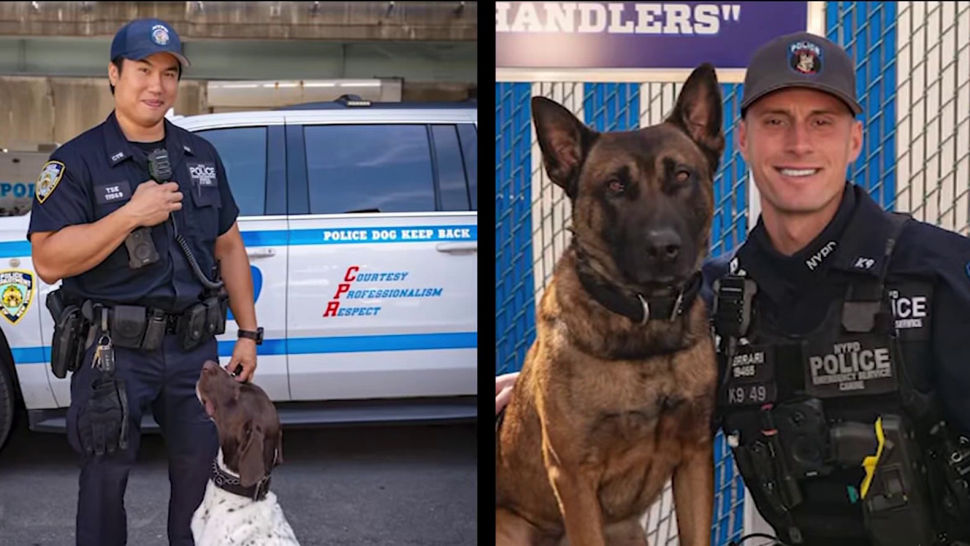 NYPD drops new 'Canine & Friends' calendar for 2026 – NBC New York