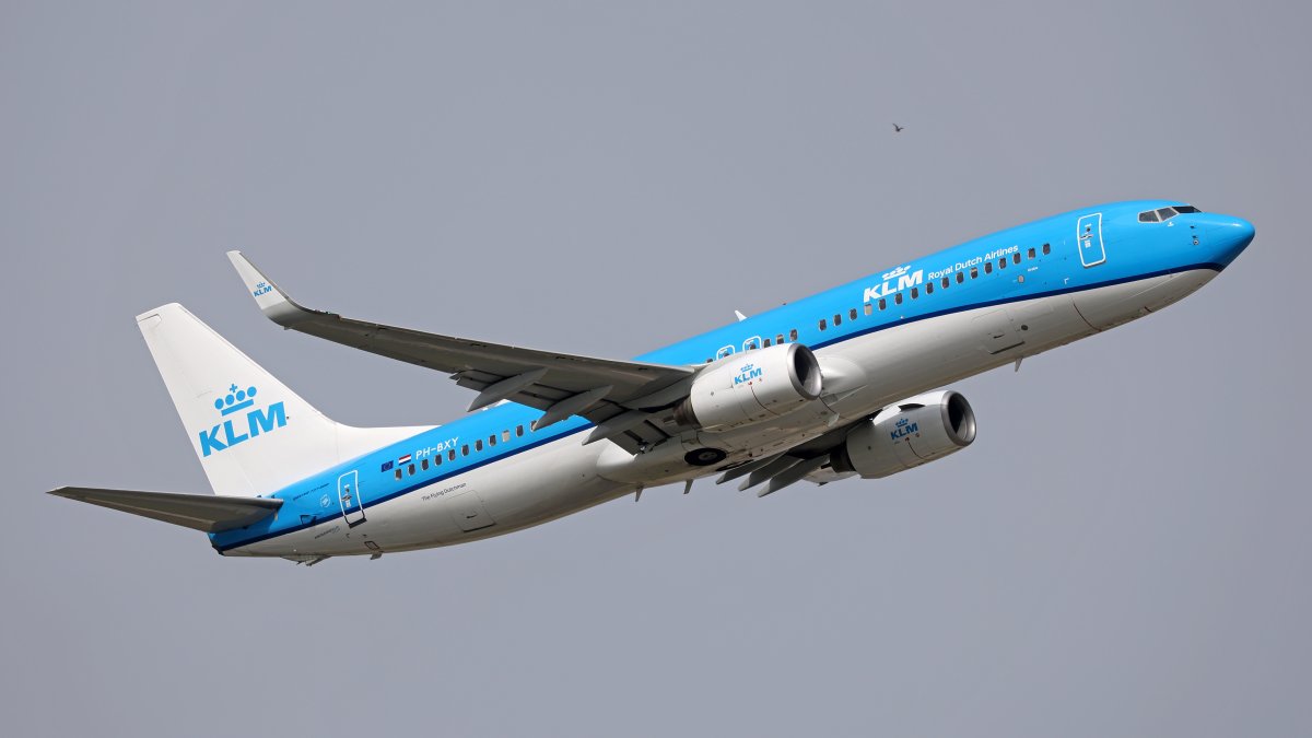 Família da Virgínia processa Delta e KLM Airlines por suposta infestação de percevejos – NBC Nova York Família da Virgínia processa Delta e KLM Airlines por suposta infestação de percevejos – NBC Nova York