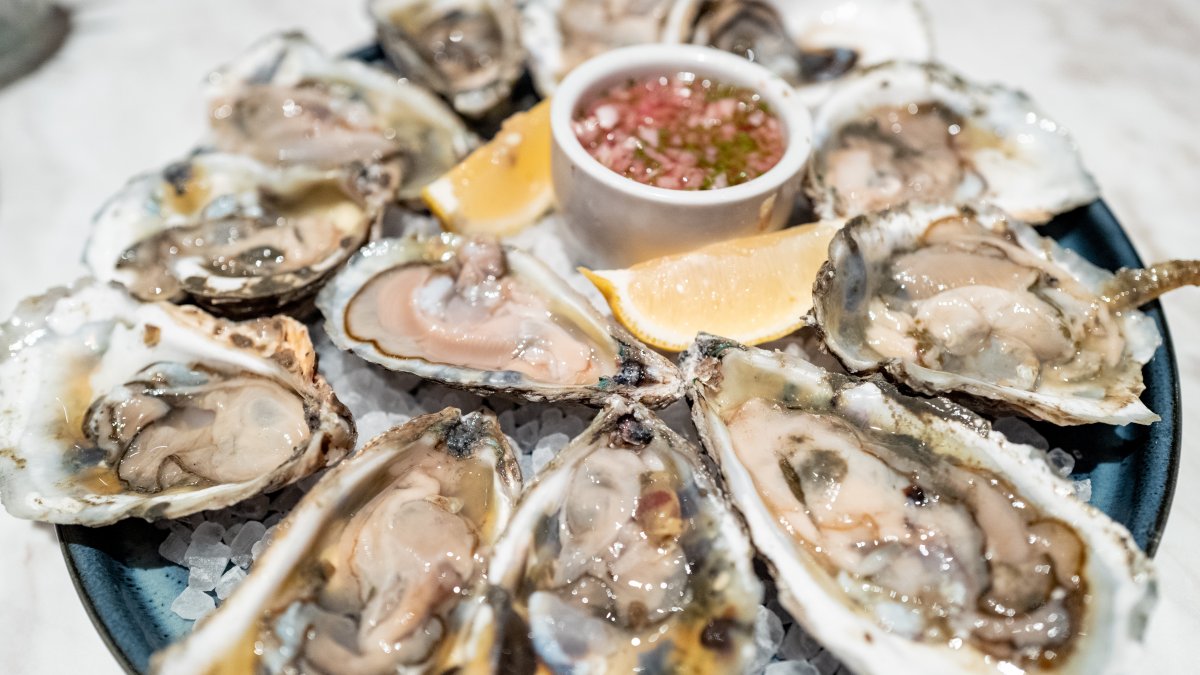 Raw oysters linked to U.S. salmonella outbreak, with over a dozen sick in NY, NJ, CT
