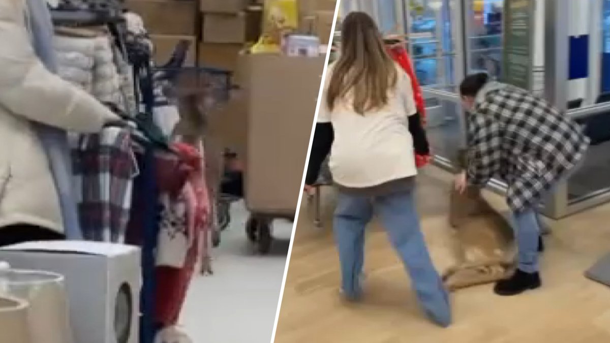 ‘She saved the day': Shopper dashes to corral deer that wandered into Marshalls store