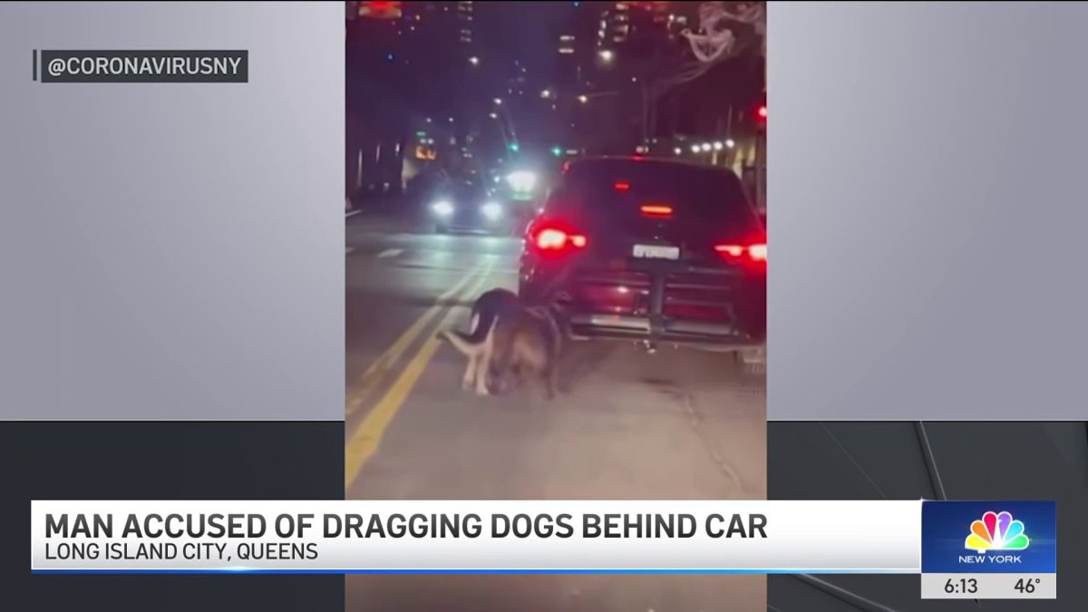 Man accused of dragging dogs behind car in Long Island City – NBC New York