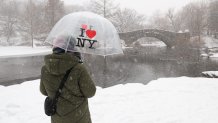 A person holds an umbrella as snow falls in Central Park in New York City on January 25, 2026.