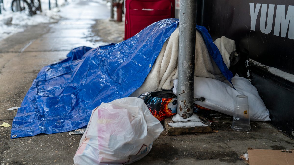 3 more outdoor NYC deaths confirmed since start of snow and frigid weather; 13 dead in all