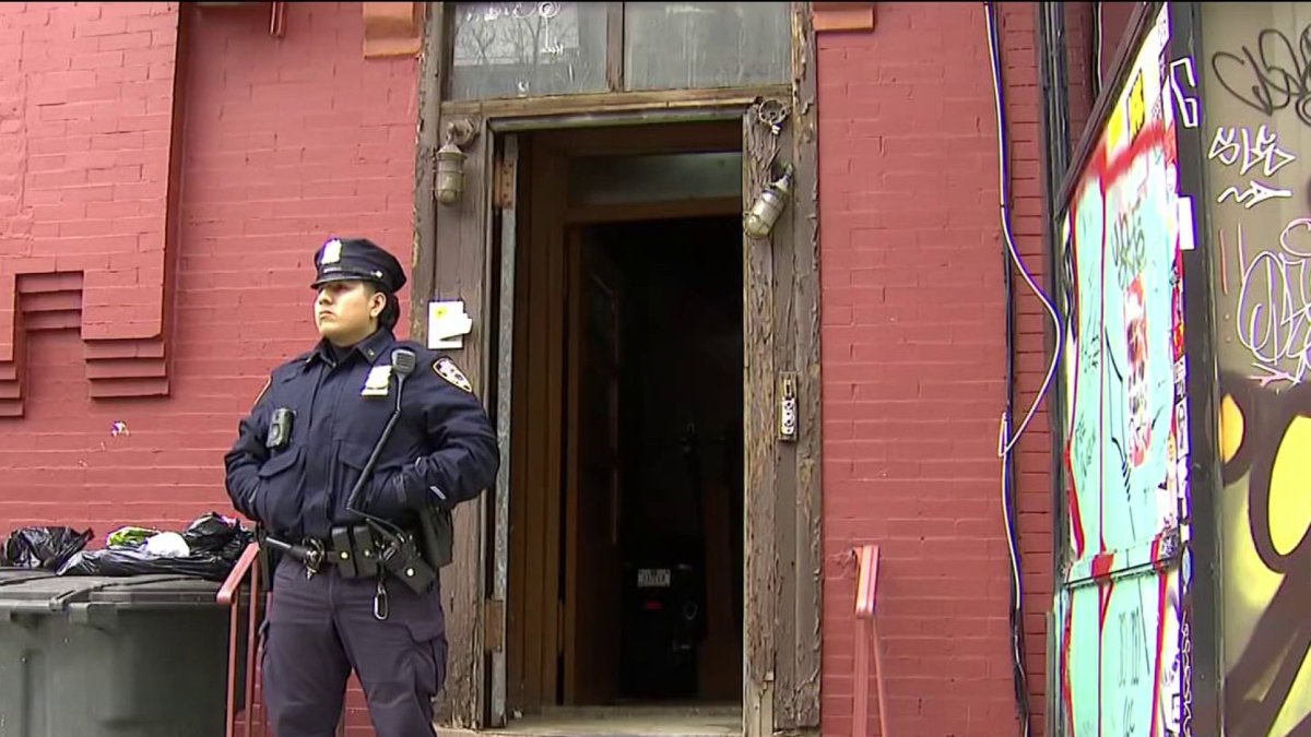 Grandson in custody for deadly stabbing of 85-year-old woman in ...