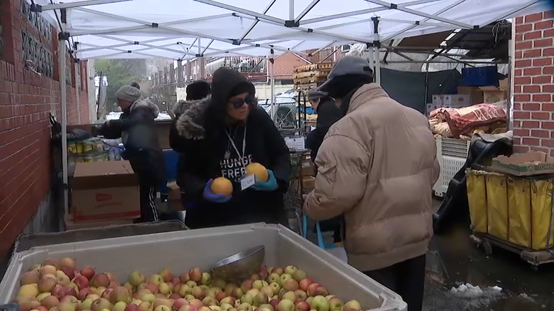Elaine Meyers volunteering at the food drive